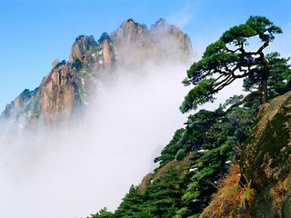迎客松