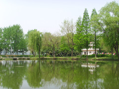 南京情侣园图片