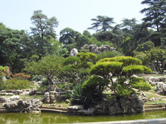 玄武湖公园010