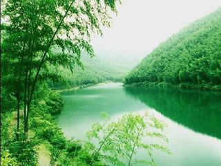 南山竹海