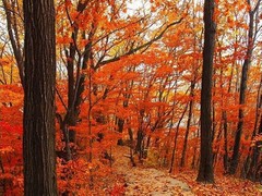 栖霞山图片