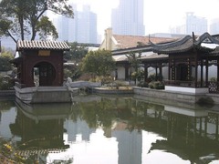 南京总统府09园林