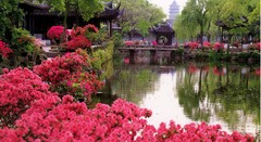 拙政园图片