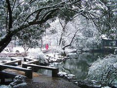 拙政园05冬景