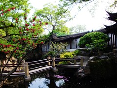耦园13桃花盛开下的美景