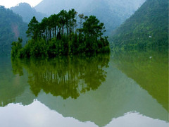 鼎湖山图片