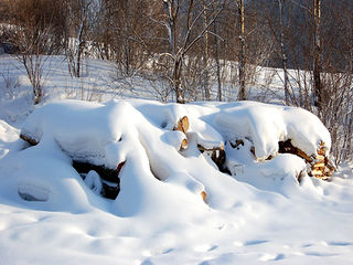 冰雪世界