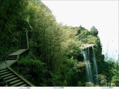 蜀南竹海图片
