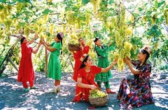 葡萄沟图片