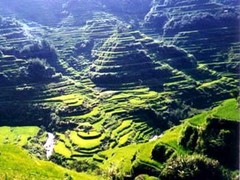 巴拿威梯田图片