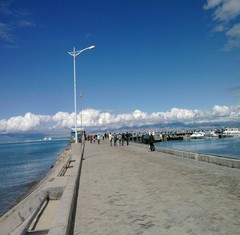 亲密接触青海湖