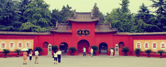 白马寺图片