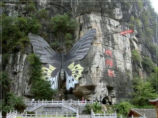 蝴蝶泉