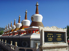 塔尔寺图片
