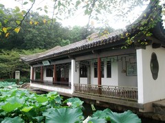 长春花漪1