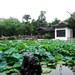 江苏 无锡 蠡园