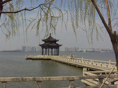 金鸡湖图片