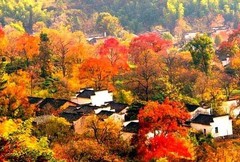 塔川图片