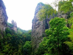 小龙湫图片