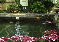 中华恐龙园图片