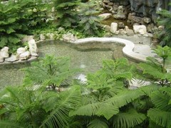凤山温泉图片
