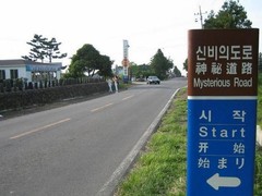 神奇之路图片