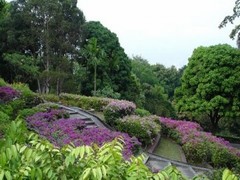 花芭山图片