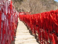 锦州图片