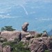 黄山十大景点 黄山十大景点