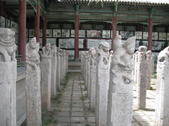 碑林博物馆图片