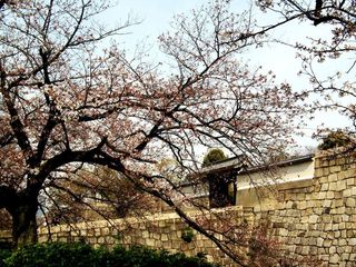 大阪城公园