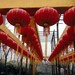 西溪湿地 西溪花灯