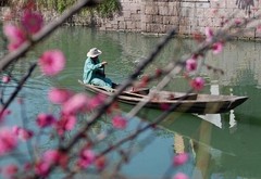 西溪湿地图片