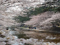 岚山图片