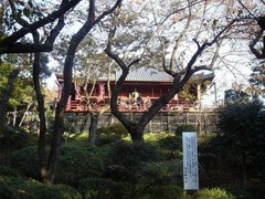 上野恩赐公园图片