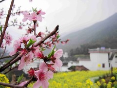 江湾图片