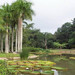  勐仑植物园2