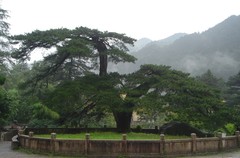 九华山图片