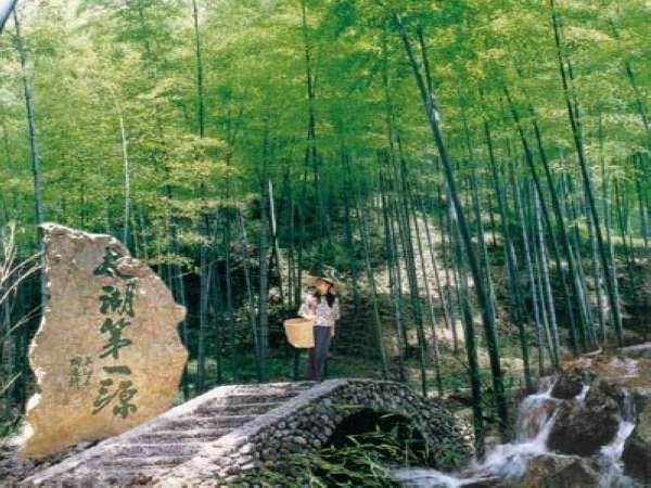 景点介绍:忘忧谷 忘忧谷景区是蜀南竹海的核心景区之一位于蜀南竹海