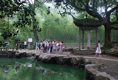 兰亭图片
