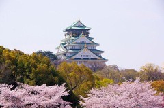 大阪城公园图片