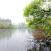  西湖 浙江 杭州 西湖春日