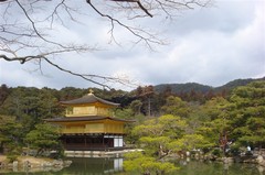中关村图片