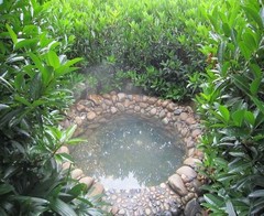 茶山竹海图片