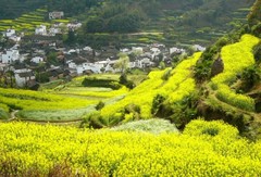 江岭