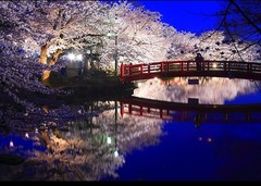 金阁寺图片