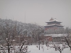 定陵博物馆图片