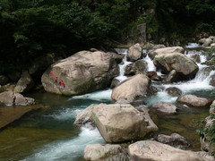 西天目山图片