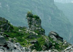 乌江画廊图片