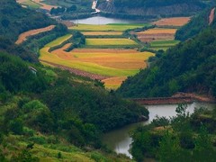 石头村图片